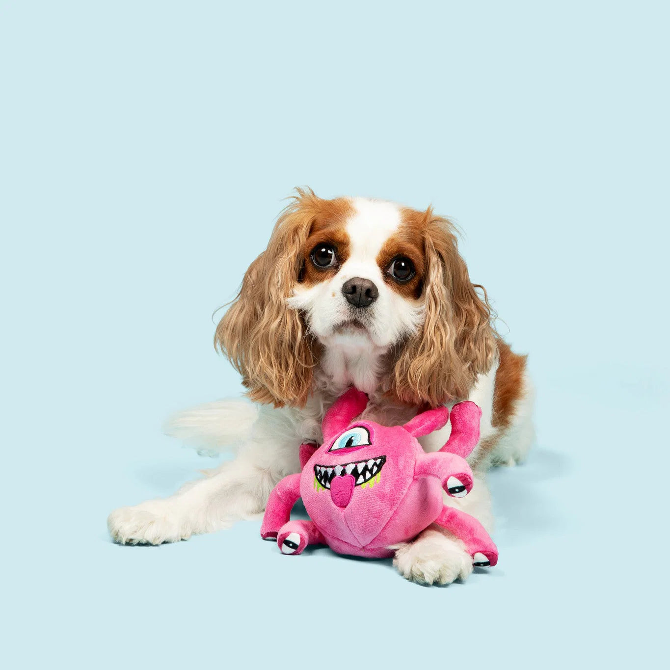 Eye Beast 3-in-1 Plush Dog Toy - Medium