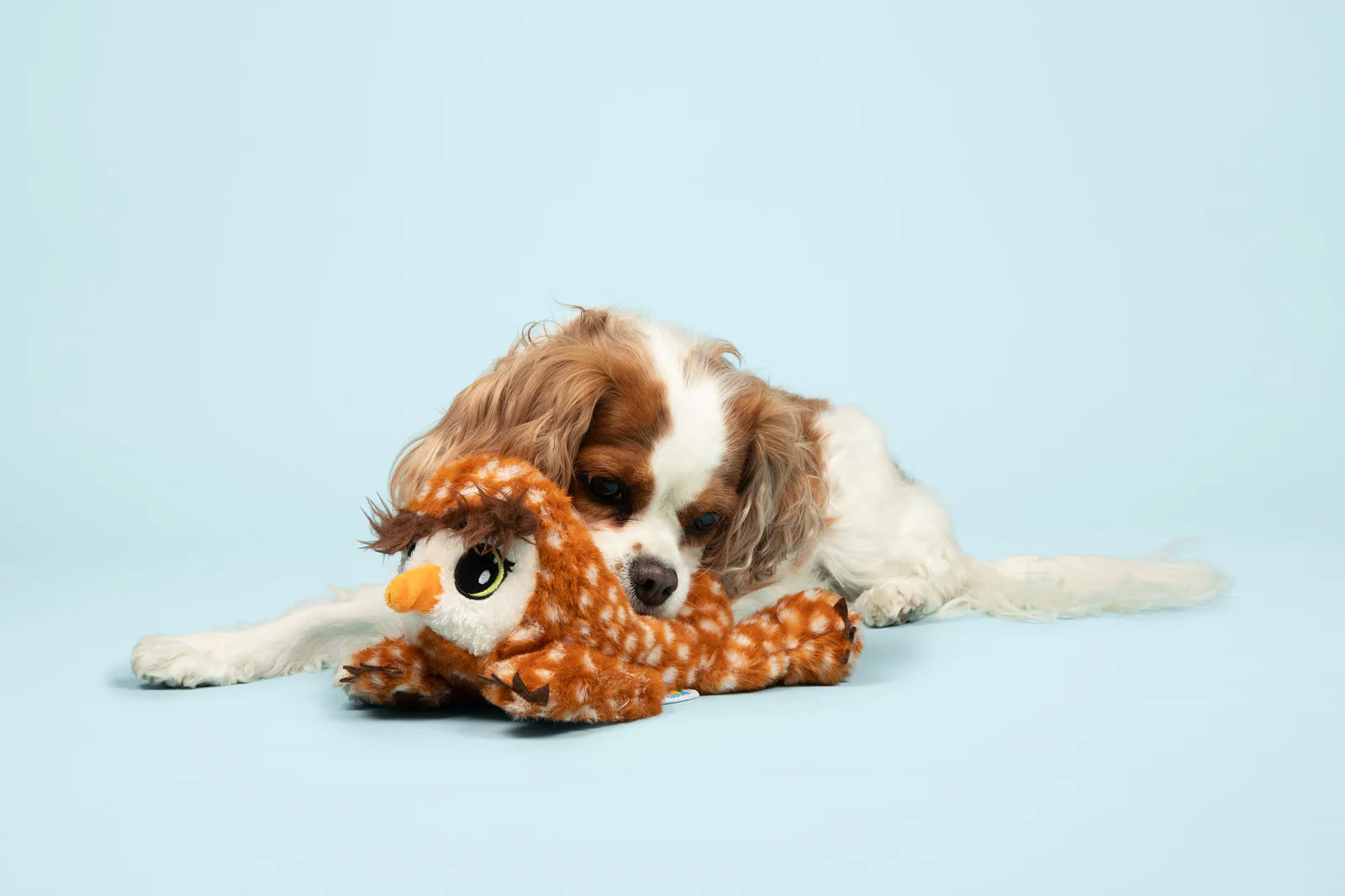 Owlbear Cub Plush Dog Toy - Medium - Brown