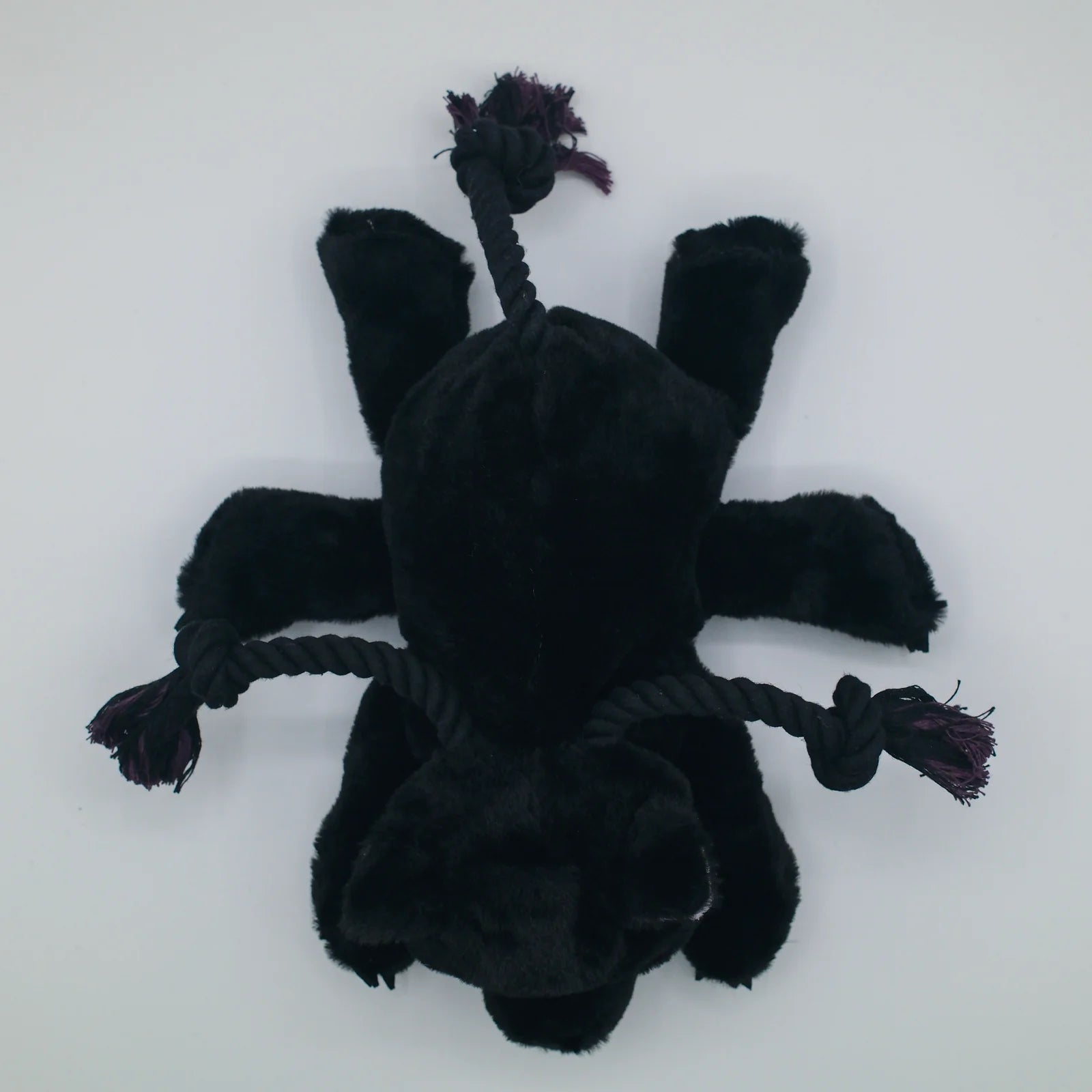 Phase Kitten Plush Dog Toy - Medium